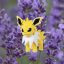 bugjolteon avatar