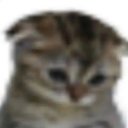 bugsnblossoms avatar