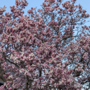 buildingourworld avatar