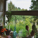 buildmeahouse-will avatar