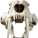 built-to-last-0 avatar