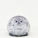 builtlikeajellybean avatar