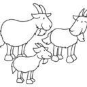 bukkene-bruse avatar