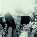 bukreinsteiger avatar