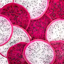 bulhichkadoseva avatar