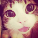 bull3tproofhe4rt avatar