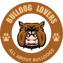 bulldogslover-blog avatar
