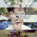 bulletproof-beast avatar