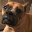 bulletproof055 avatar