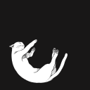 bullets-and-cigarette avatar