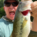 bullfrog479 avatar