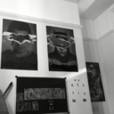 bullshitandshit avatar