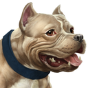 bullymax avatar