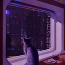 bulutungozyasi avatar