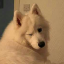 bumble-crumps avatar