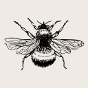 bumblebee-cottage avatar