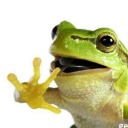 bumblebee-cuttiefish avatar