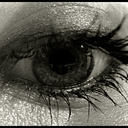 bumblebee-dreams avatar