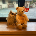 bumblebee-of-all-things avatar