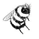 bumblebeebonanza avatar