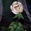 bumblebeebramble avatar