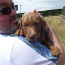 bumblebeejess avatar