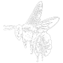 bumblebeesstudies avatar