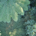 bumbler-of-a-bee avatar