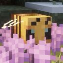 bumbling-bebe avatar