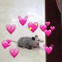 bummerdays1996 avatar