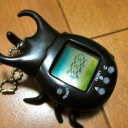 bumpin-breakers avatar