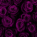 bumps-in-the-night avatar