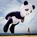 bumtinzandthat avatar