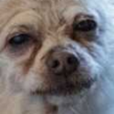 bunchabananas avatar