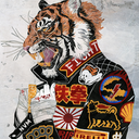 bundle-of-hiss avatar