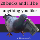 bundlofcigars avatar