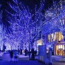 bungostraydogs-secret-santa avatar