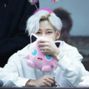 bungoustraypugs avatar