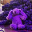 bungrl-off-leash avatar