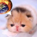 bungusofficial avatar