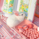 bunniberry avatar