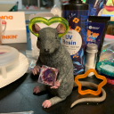 bunnie-hunnie avatar