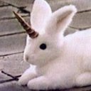 bunniecornio avatar