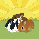 bunnies-and-sunshine avatar