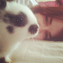 bunniesarethebest avatar