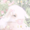 bunniesbreath avatar