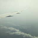 bunniesnotrabbits avatar