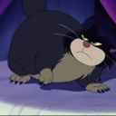 bunnieswithbuzookas avatar