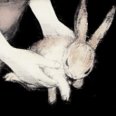 bunny-diaries avatar