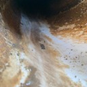 bunny-in-space avatar